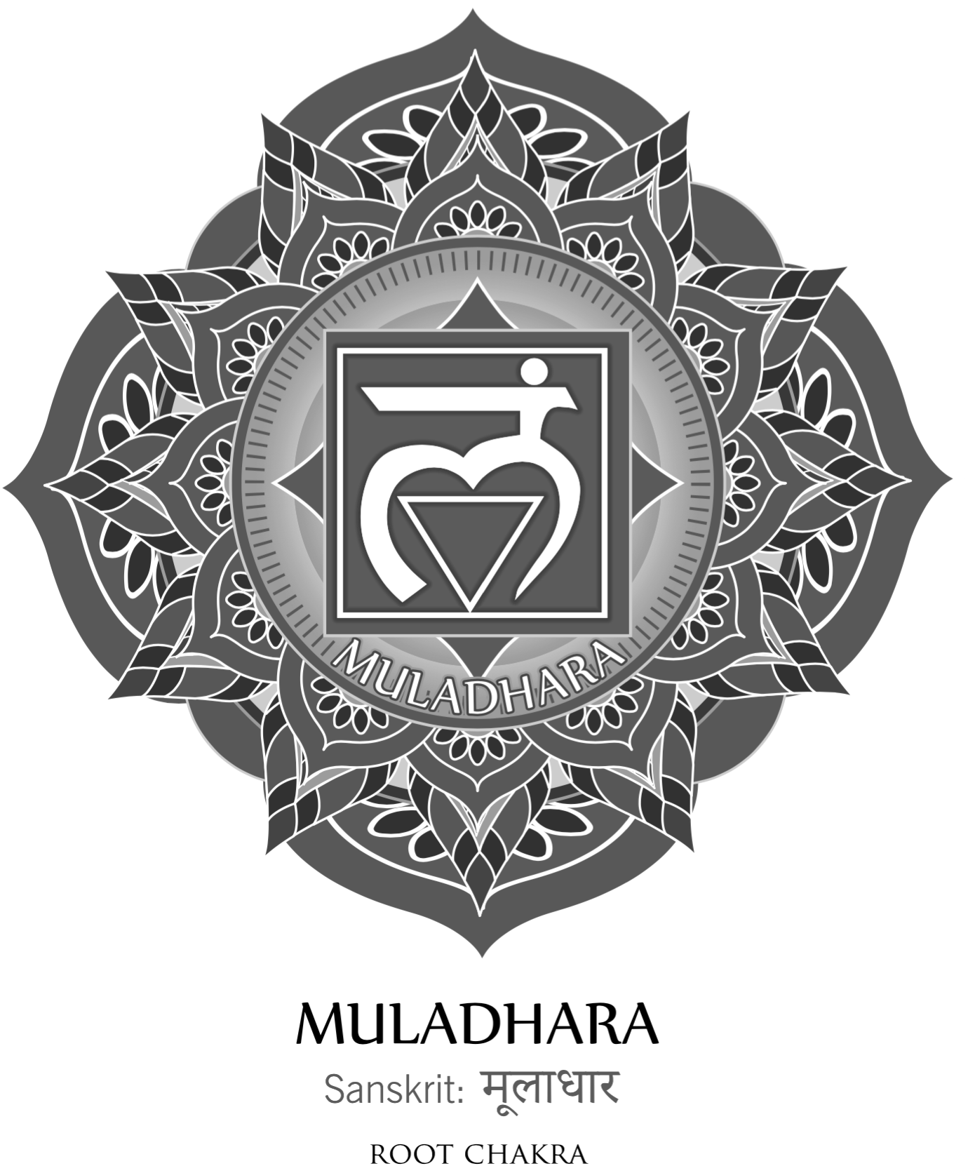 The Root Chakra Everything you Need to Know